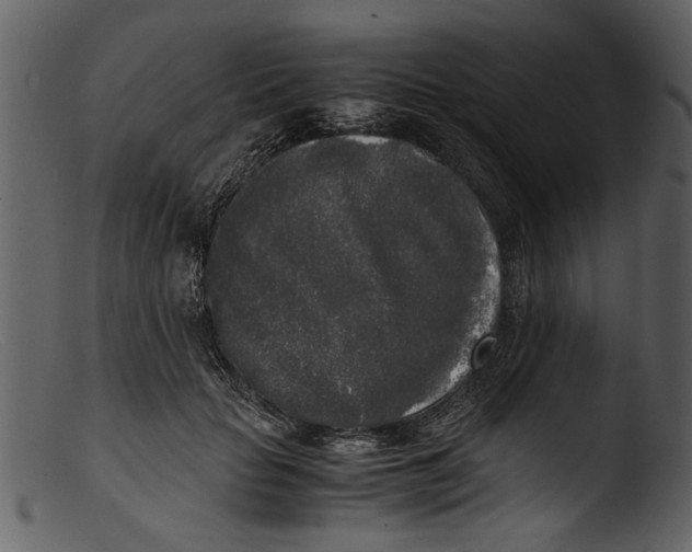 X0000103310653200809261338