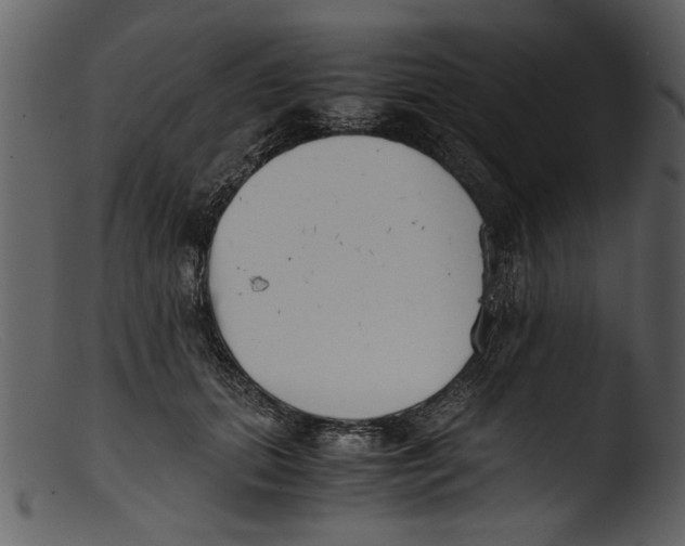 X0000103310655200809261338