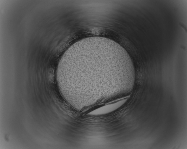 X0000103310656200809261338