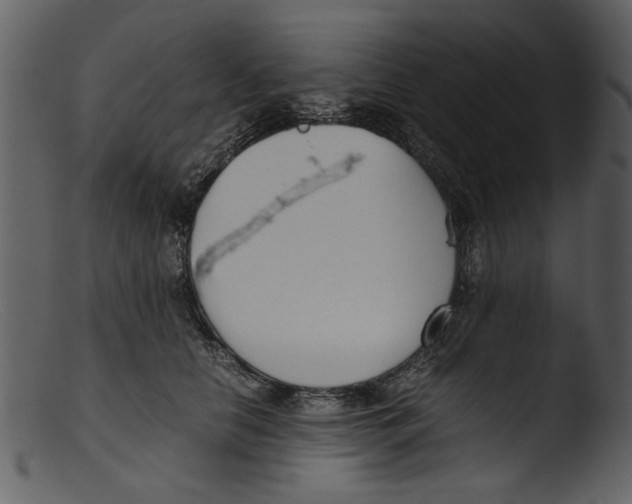 X0000103310658200809261338