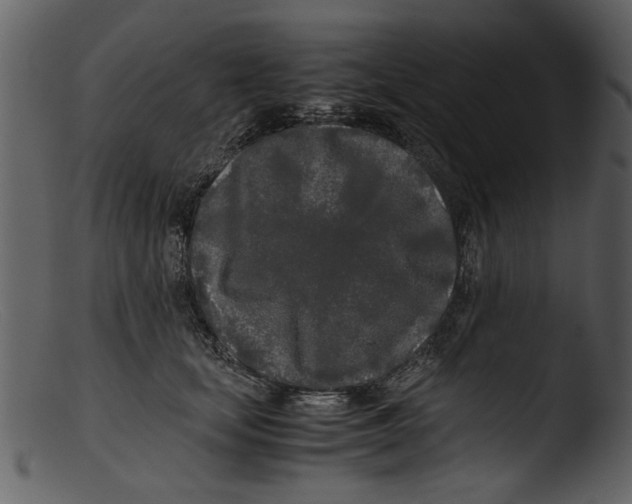 X0000103310659200809261338