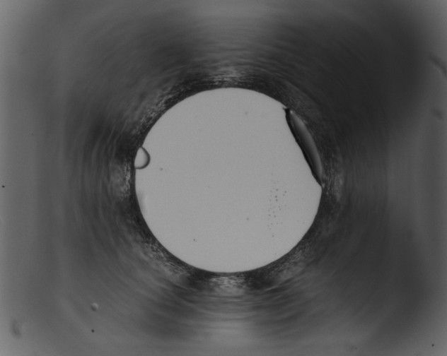 X0000103310660200809261338