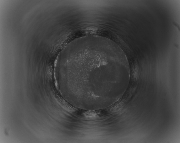 X0000103310661200809261338