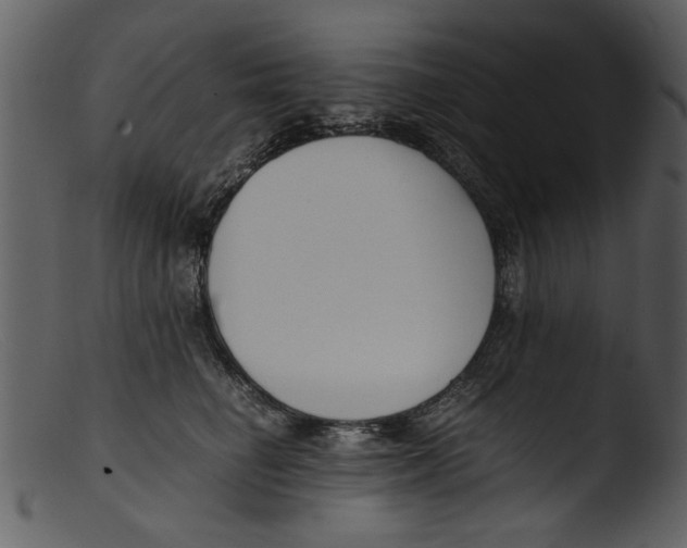 X0000103310662200809261338