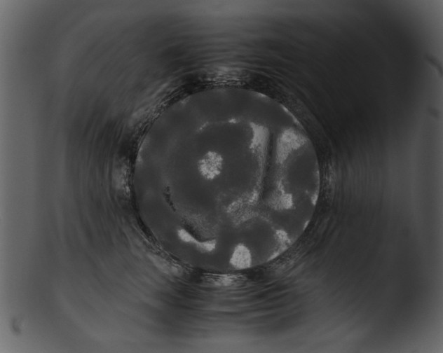 X0000103310663200809261338