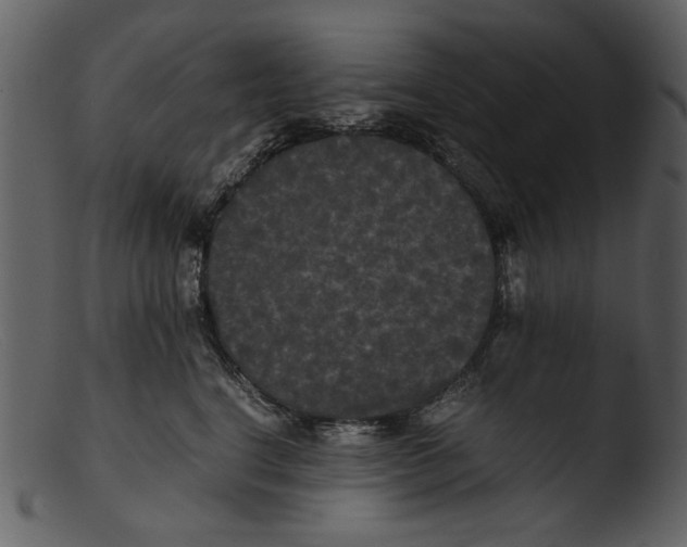 X0000103310664200809261338