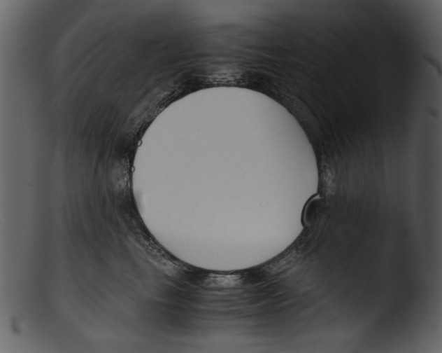 X0000103310665200809261338