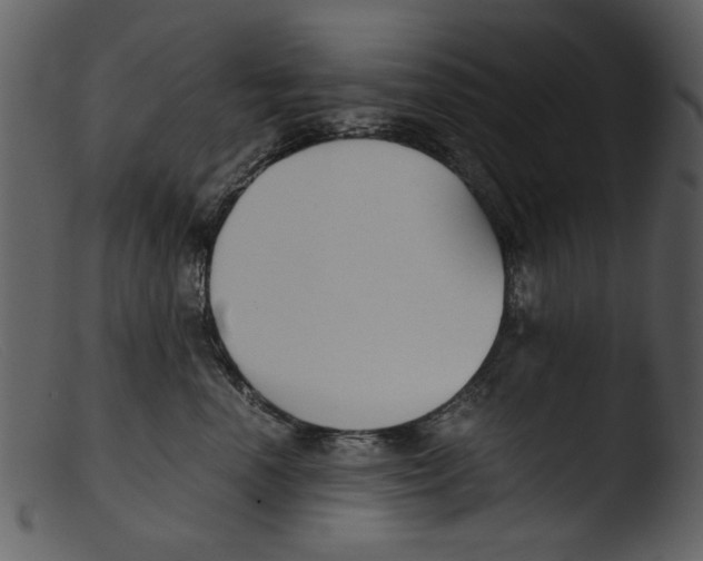 X0000103310666200809261338