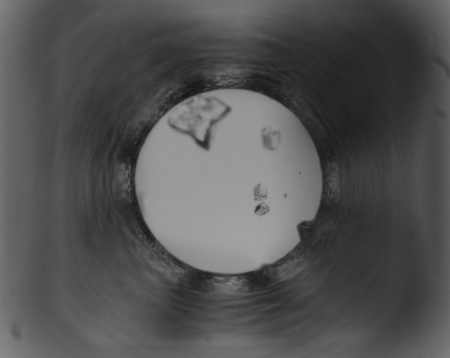 X0000103310667200809261338