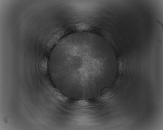 X0000103310668200809261338