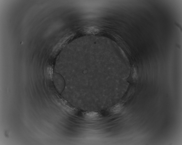 X0000103310669200809261338