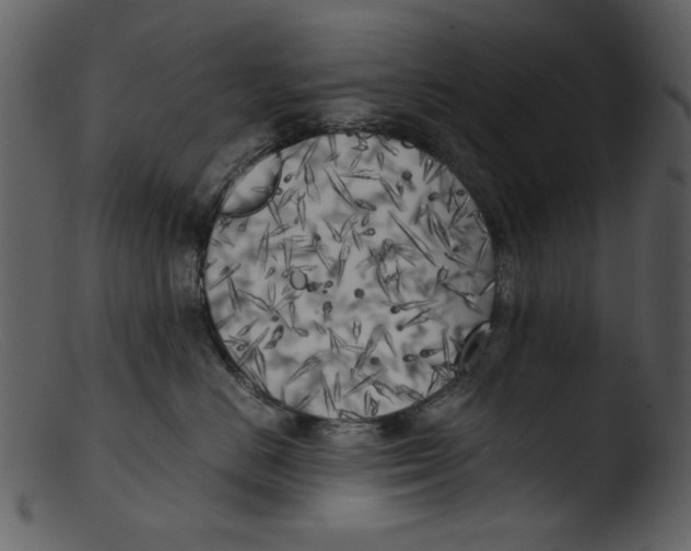 X0000103310670200809261338