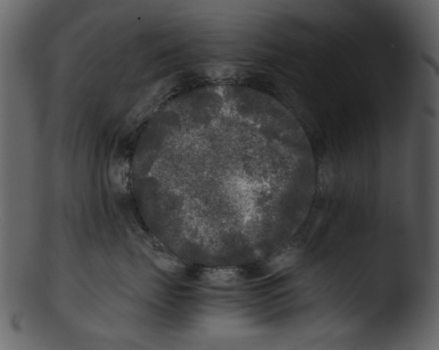 X0000103310671200809261338