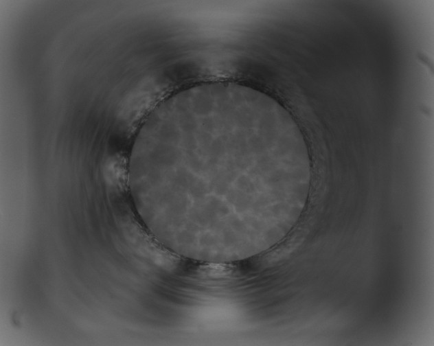 X0000103310672200809261338