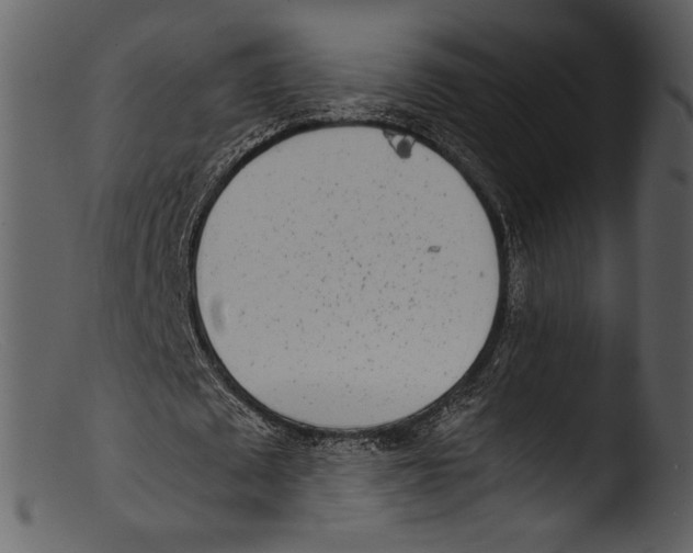 X0000103310673200809261337