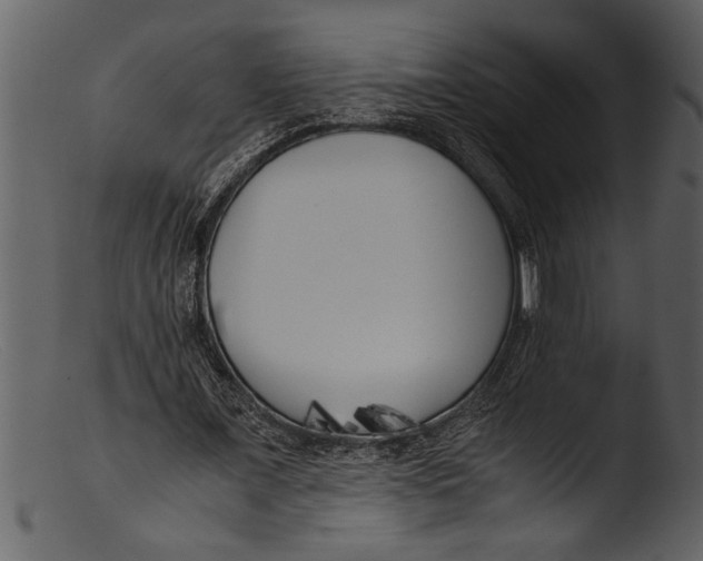 X0000103310675200809261337