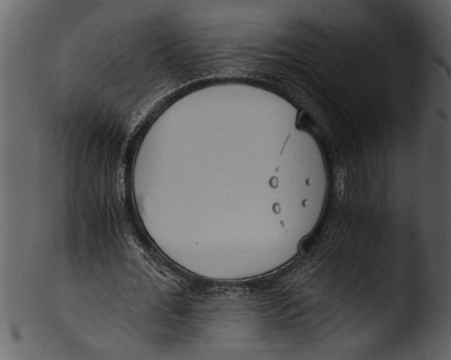 X0000103310676200809261337