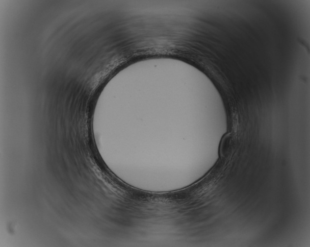 X0000103310677200809261337