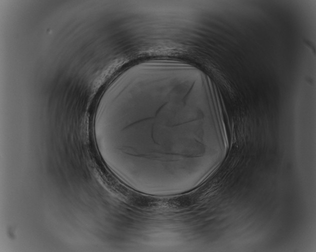 X0000103310678200809261337