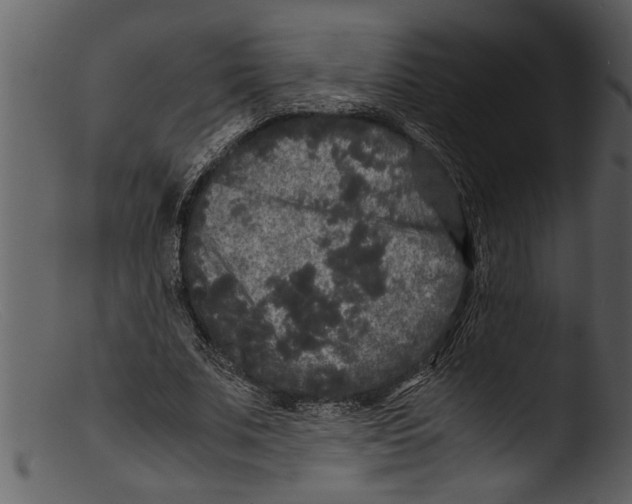 X0000103310679200809261337