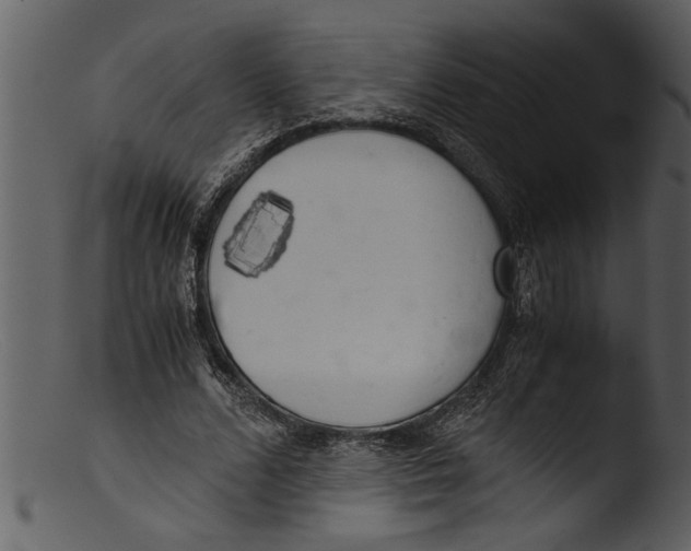 X0000103310680200809261337