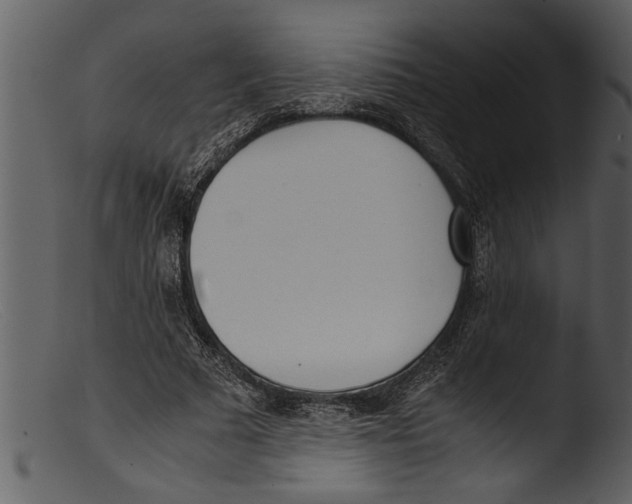 X0000103310681200809261337