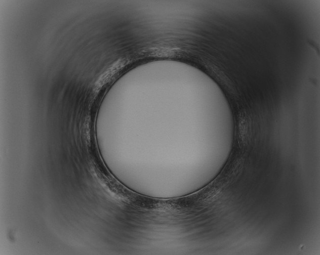 X0000103310682200809261337