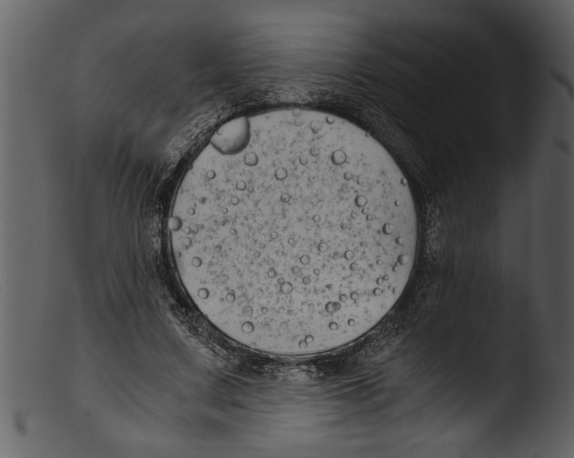 X0000103310683200809261337