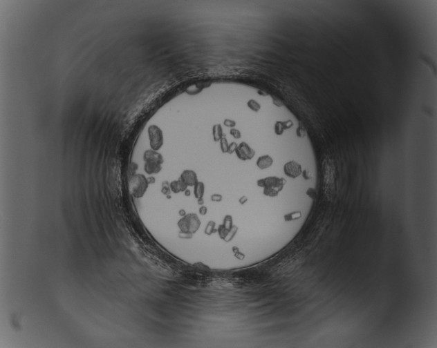 X0000103310684200809261337