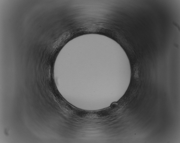 X0000103310685200809261337