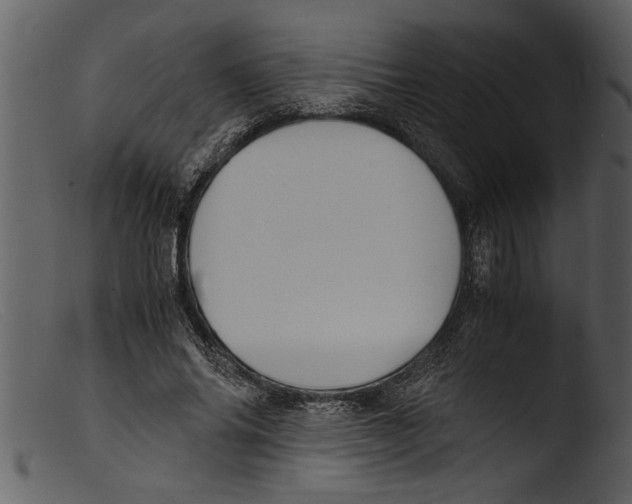 X0000103310686200809261337