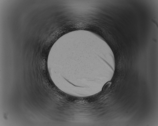 X0000103310689200809261337