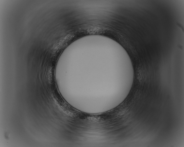 X0000103310690200809261337