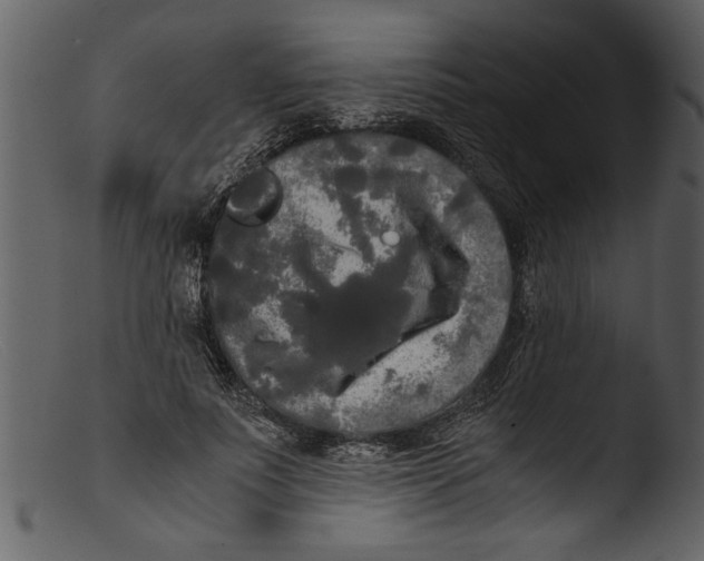 X0000103310691200809261337