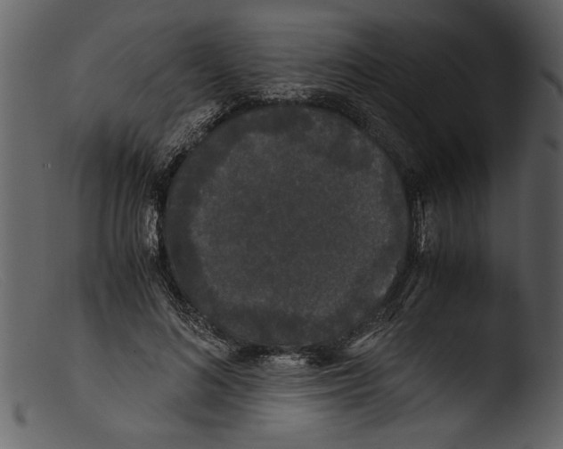 X0000103310692200809261337