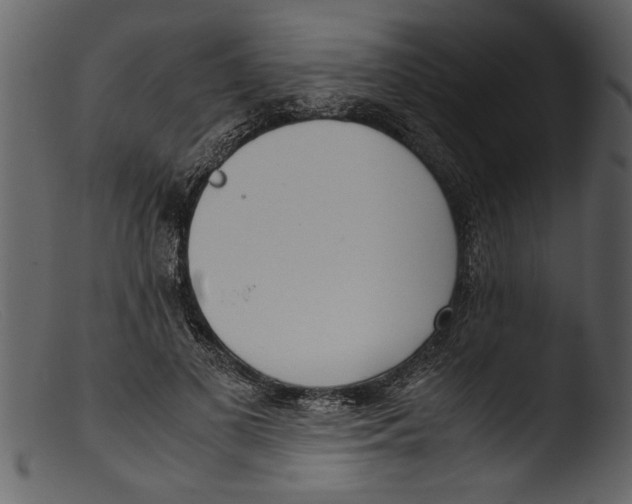 X0000103310693200809261337