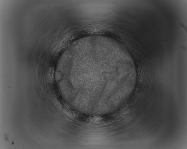 X0000103310695200809261337