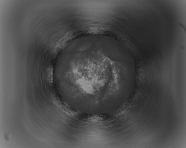 X0000103310696200809261337