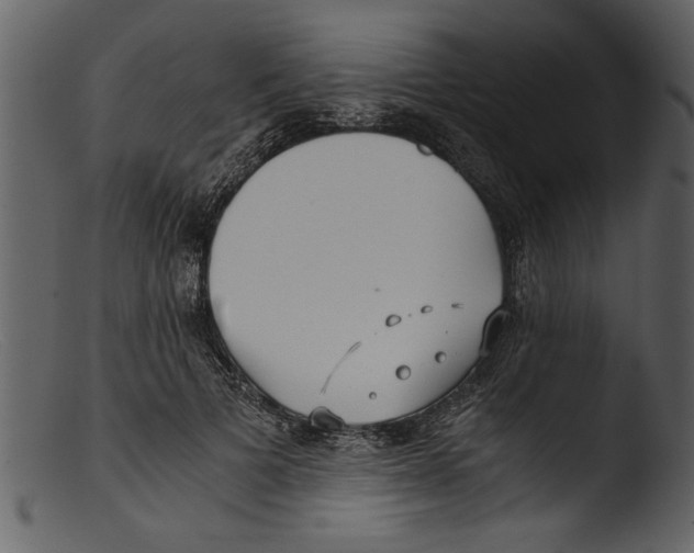 X0000103310697200809261337