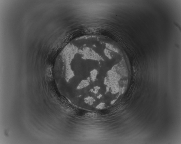 X0000103310699200809261337