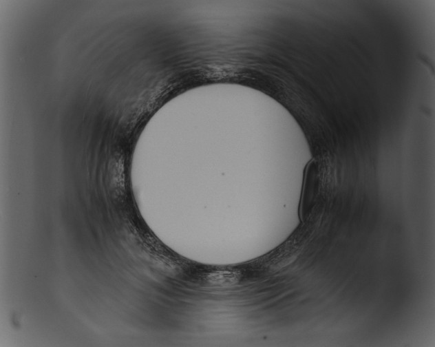 X0000103310700200809261337