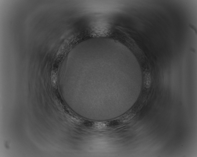 X0000103310701200809261337