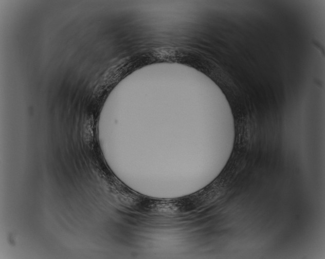 X0000103310702200809261337