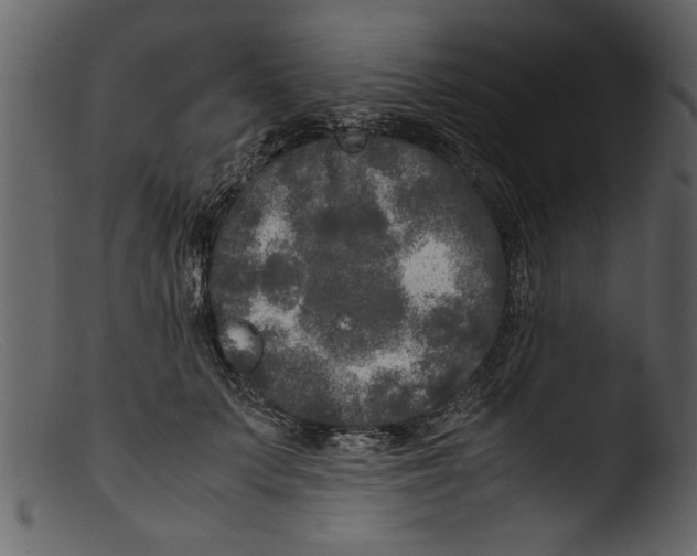 X0000103310703200809261337