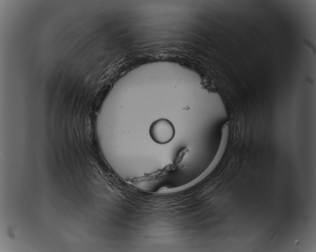 X0000103310704200809261337