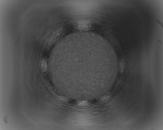 X0000103310705200809261337