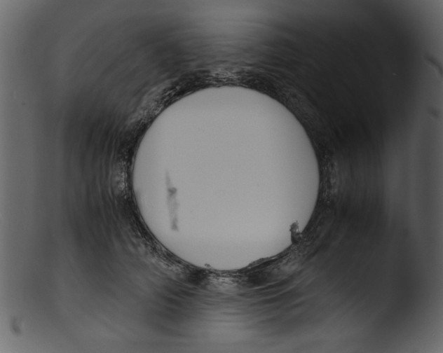 X0000103310706200809261337