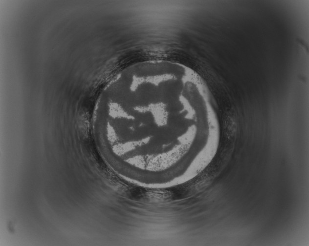 X0000103310707200809261337