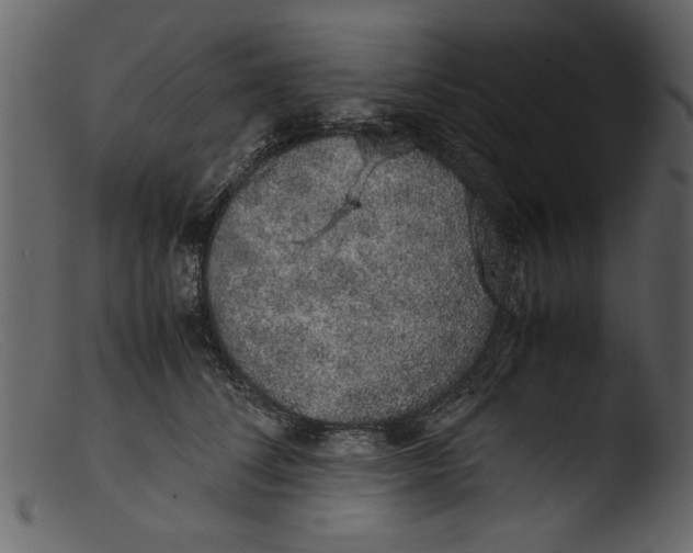 X0000103310708200809261337