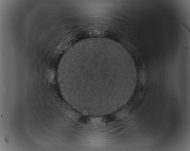 X0000103310709200809261337